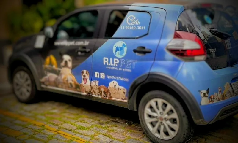 Veículos identificados