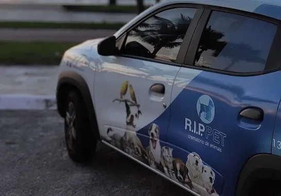 Veículos identificados